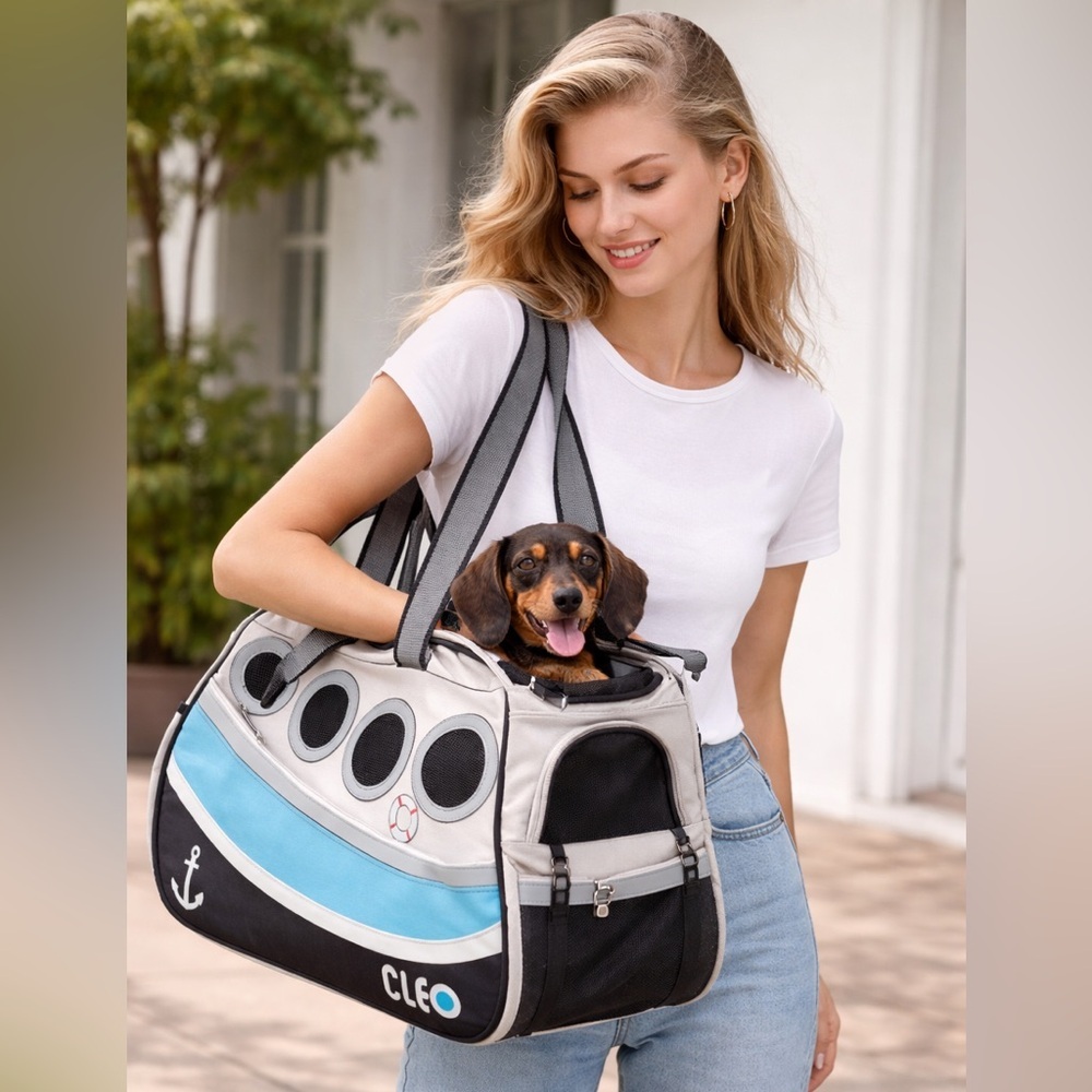 Cleo Petoboat Airline Approved Pet Carrier ā Like New, Excellent Condition - Picture 1 of 9